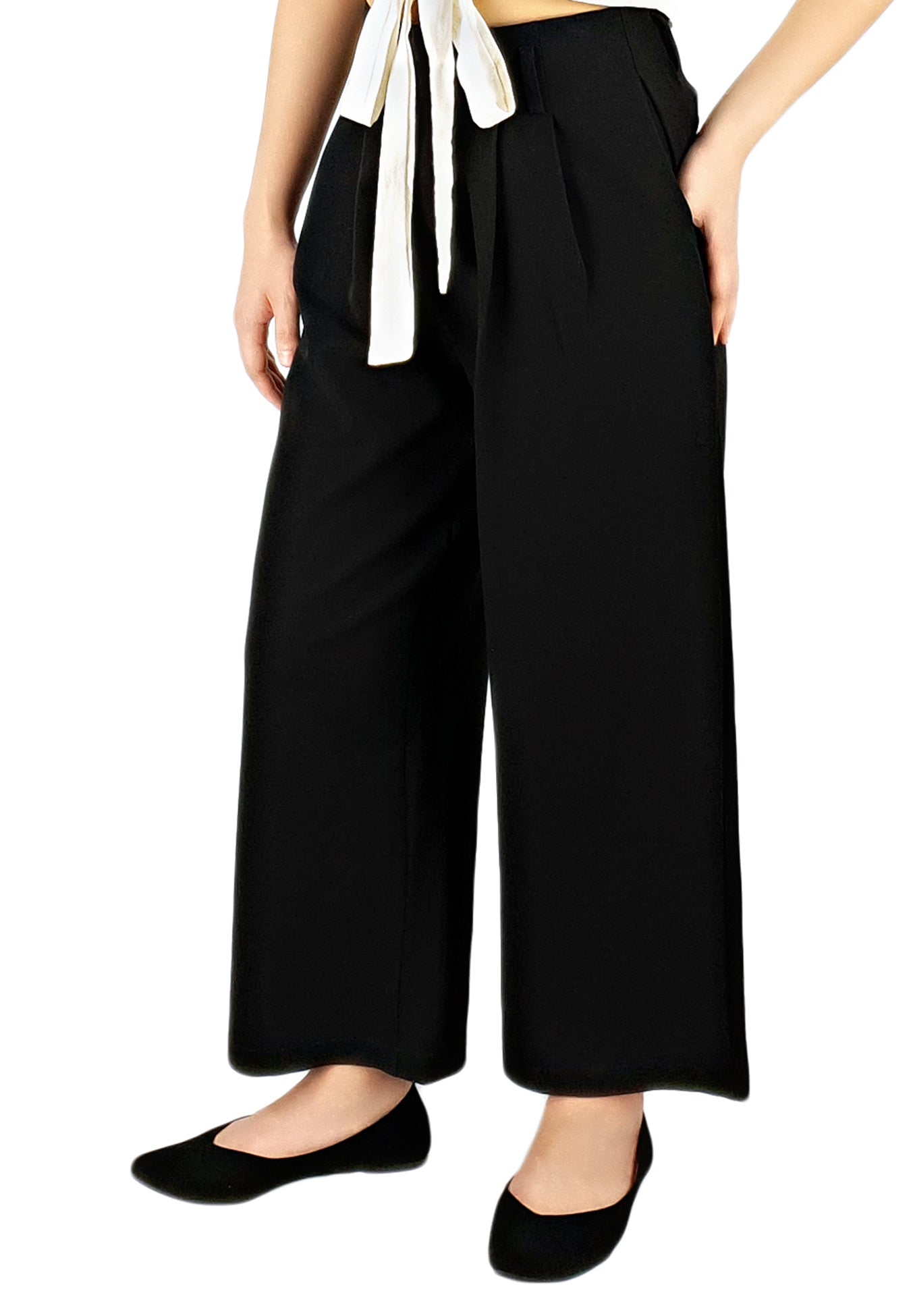 Pleated Pants in Black-Pants-Elynn Reflection